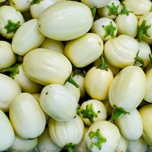 Garden Egg (African Eggplant)