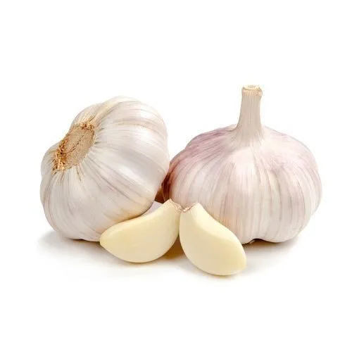 Fresh Garlic Bulb