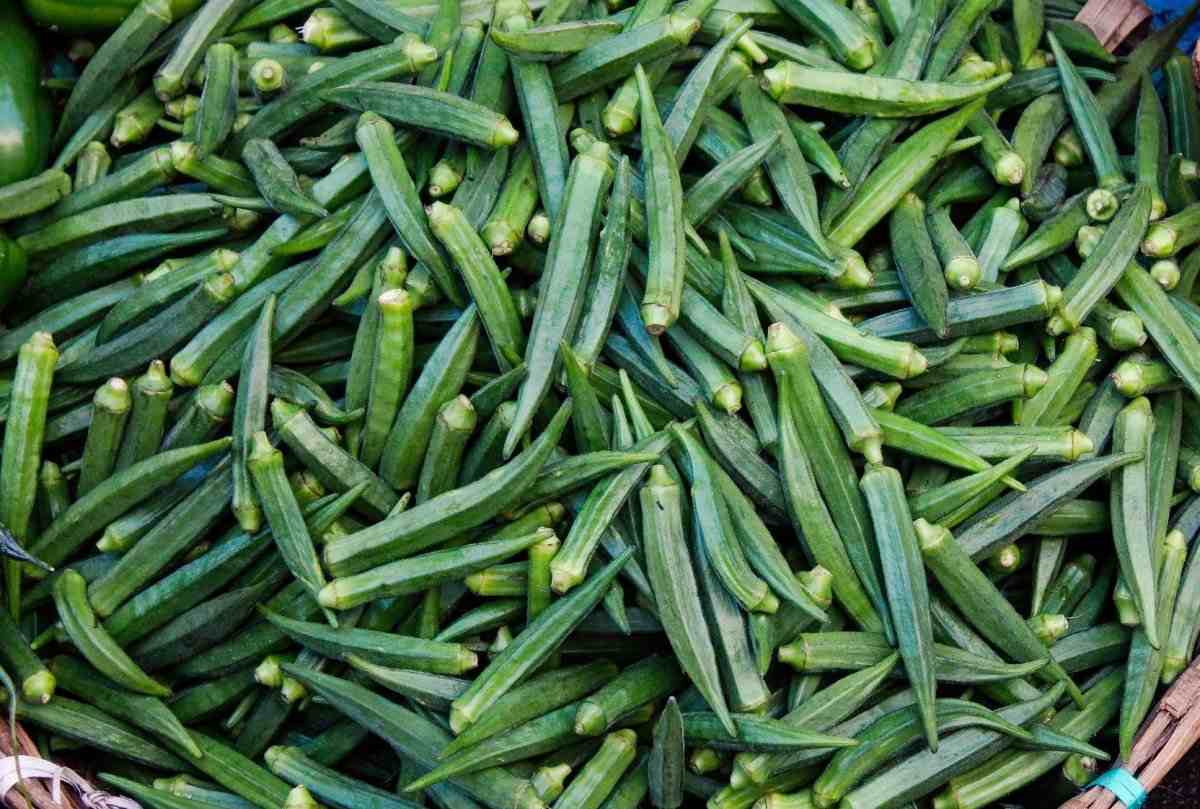 Fresh Okra (Lady Finger) - Image 2